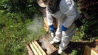 養蜂内検燻煙器